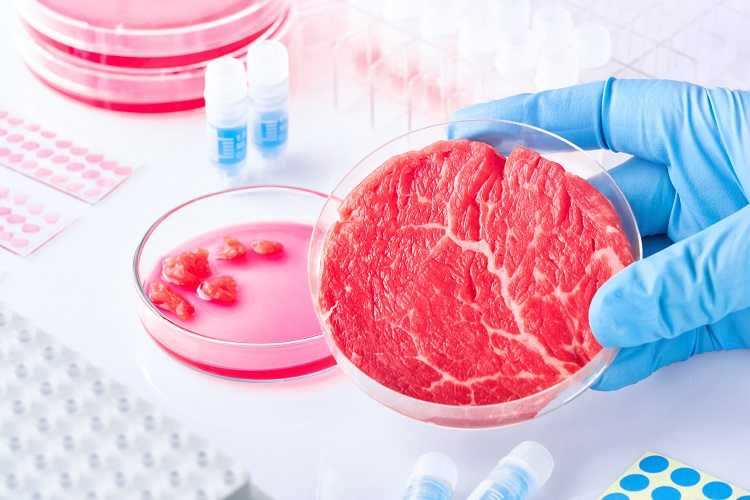 Lab-to-Table Innovation: Cultured Meat